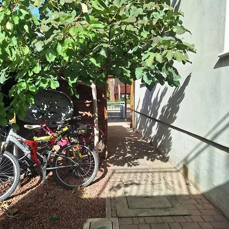 Lägenhet Cozy With Parking & Wi -fi