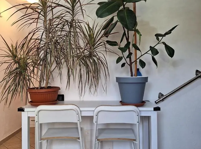 Cozy With Parking & Wi -fi 아파트 마리나디라벤나