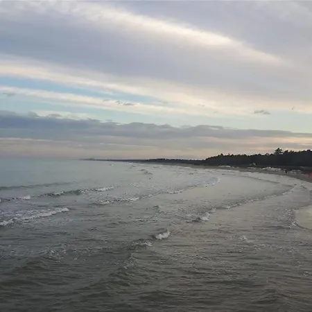 Daire Cozy With Parking & Wi -fi *